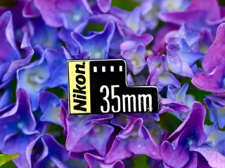 Logo Nikon 35mm film ( Jakkenål)