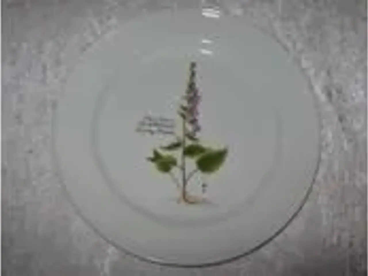 Billede 4 - Faxe Platter - Flora Danica - RETRO