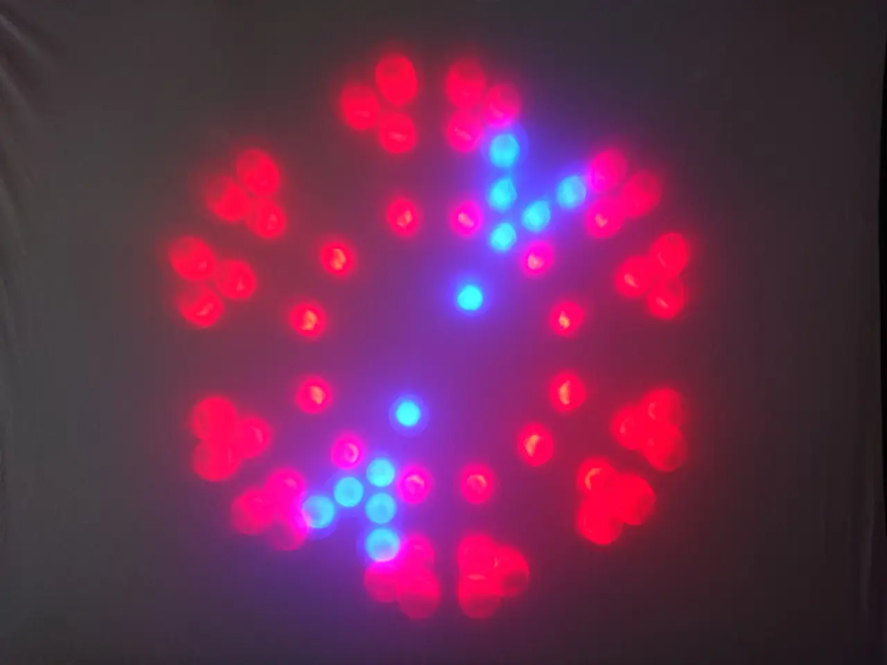 Billede 13 - Udlejes - JBSystem CALYPSO Light - 156 LED. 