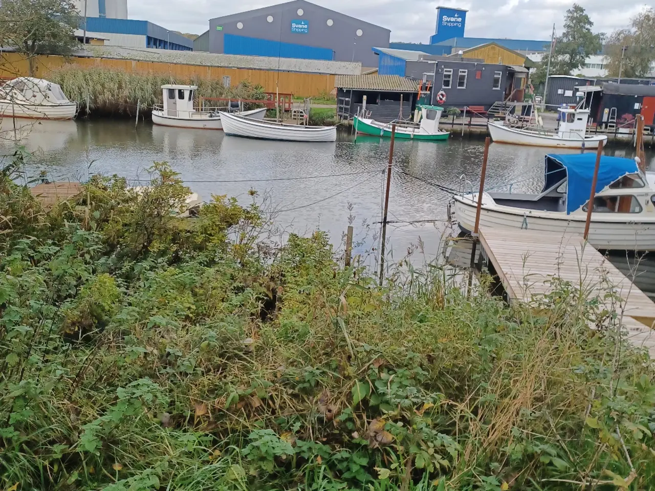 Billede 5 - Fiskejolle med økonomisk og driftssikker 8 hk. Yan