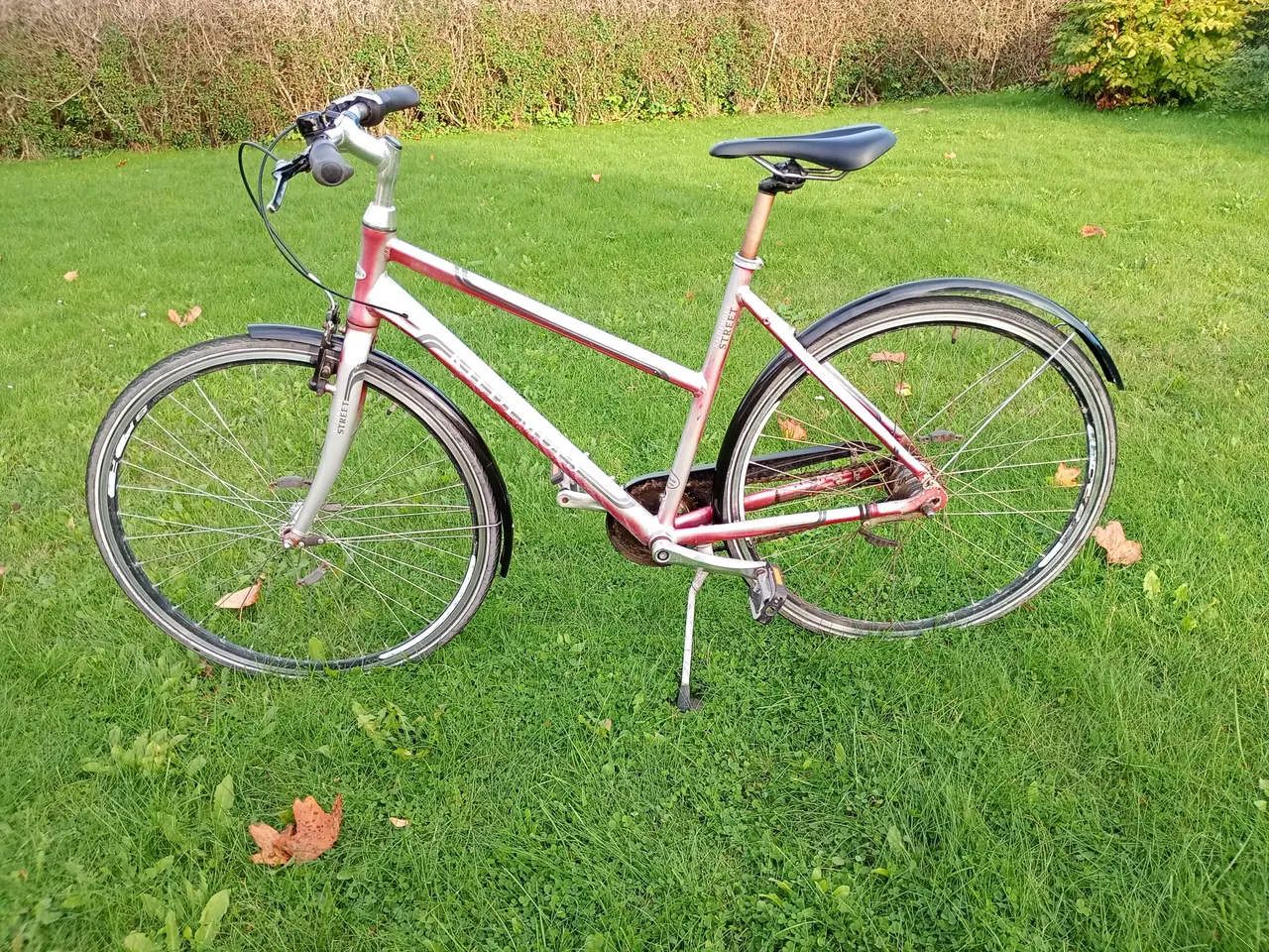 Billede 1 - Kildemoes - Citybike