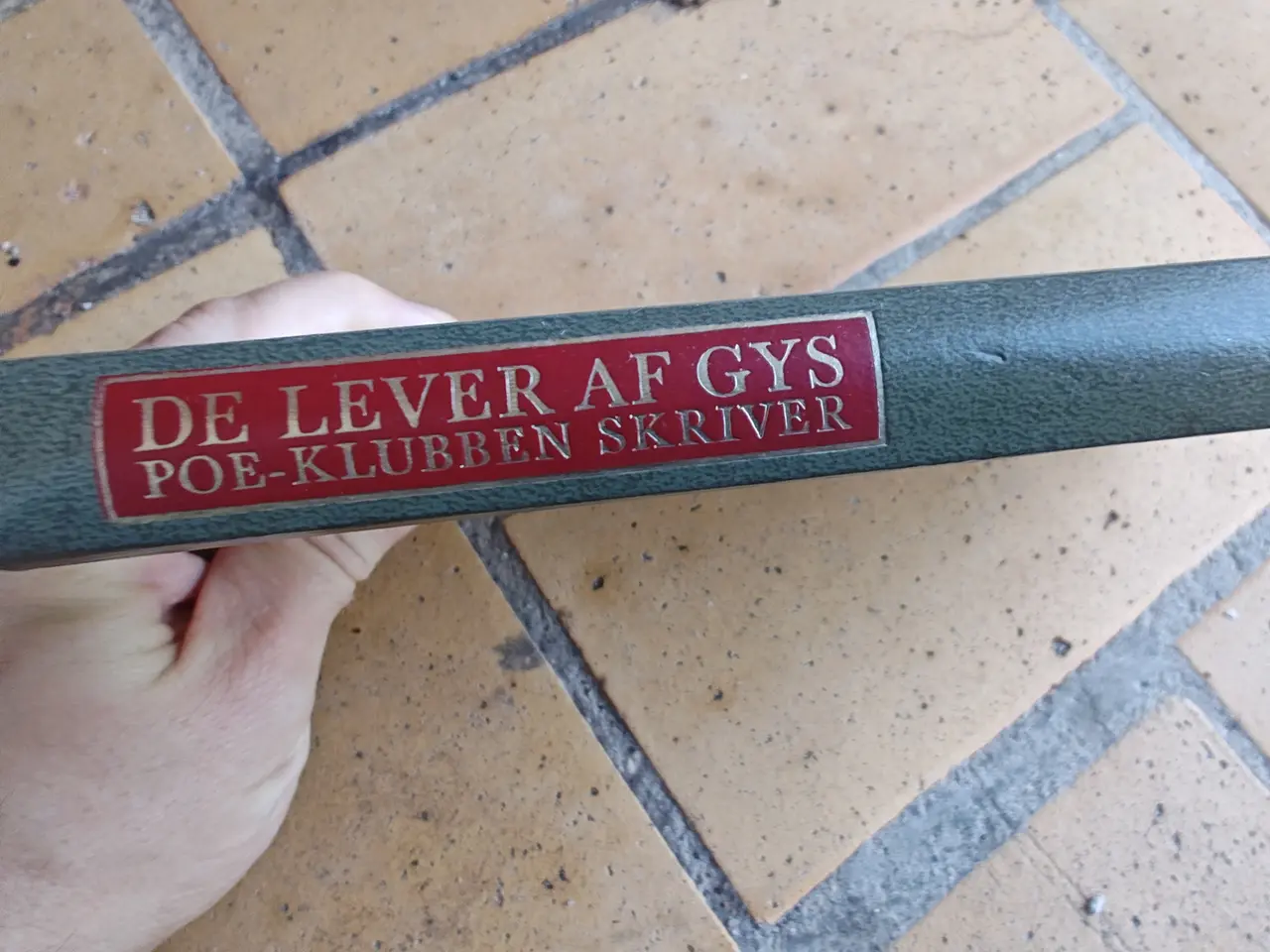 Billede 1 - De lever af GYS BOG