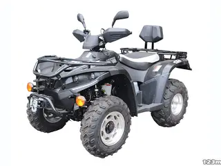 Linhai 300 2x4 4x4