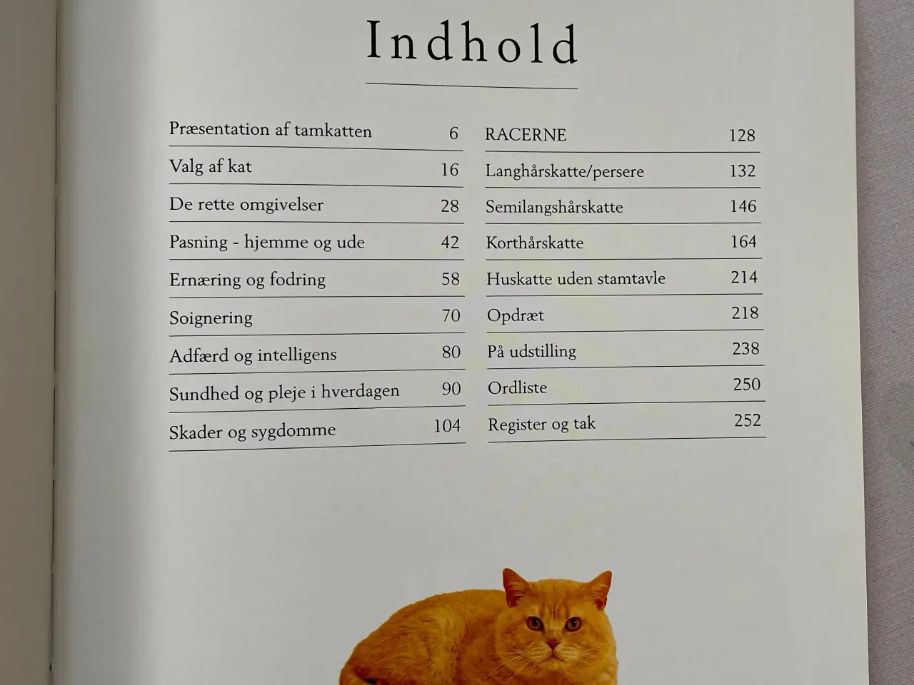 Billede 6 - Bog Kattepleje og katteracer