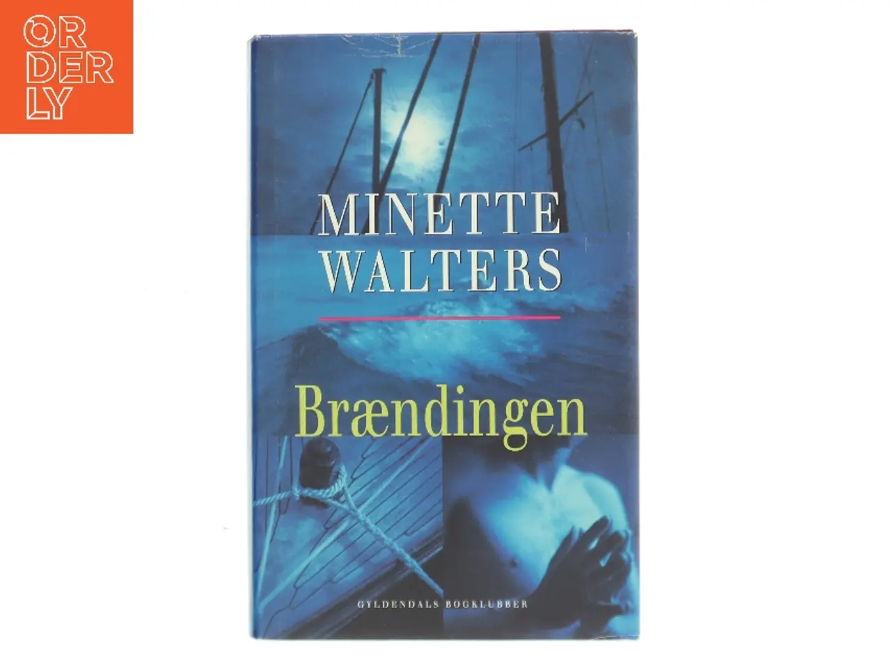 Billede 1 - Brændingen : kriminalroman af Minette Walters (Bog)