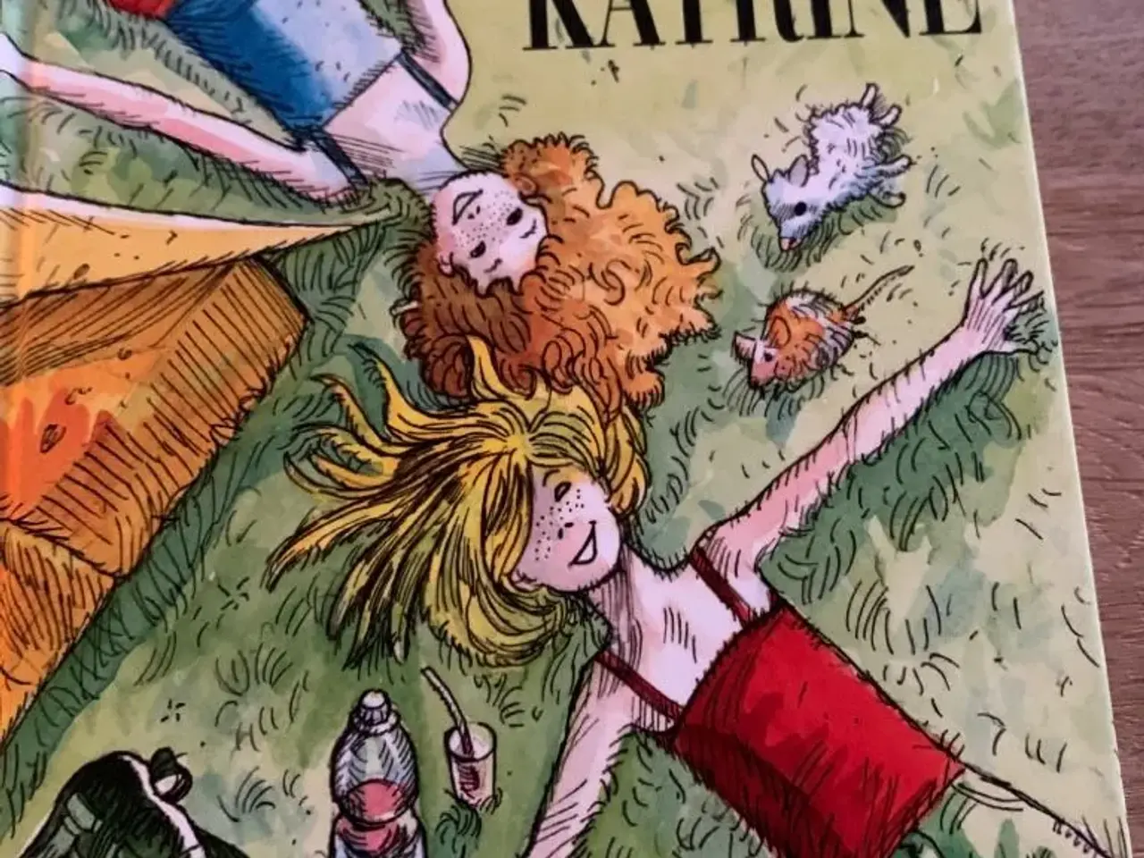 Billede 3 - Karlas Kabale + Karla og Katrine