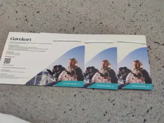 MINI CRUISE GAVEKORT FRA KBH TIL OSLO T/R