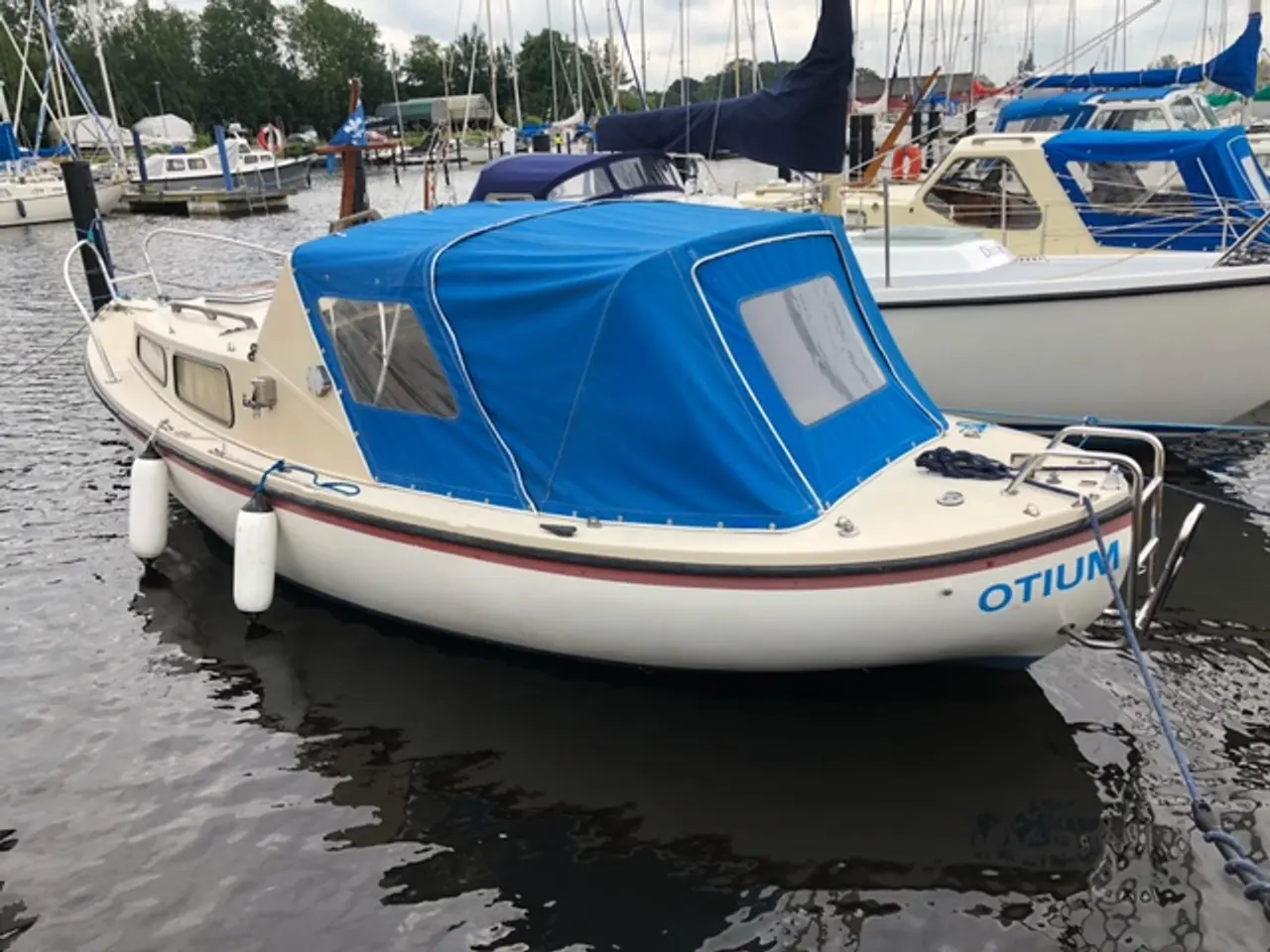 Billede 1 - LM 21 motorbåd- nyere Beta Marine diesel-18.000 kr