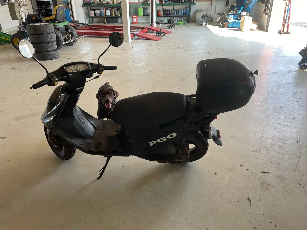Billede 4 - Pgo hot 50