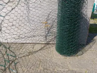 Hønsetråd