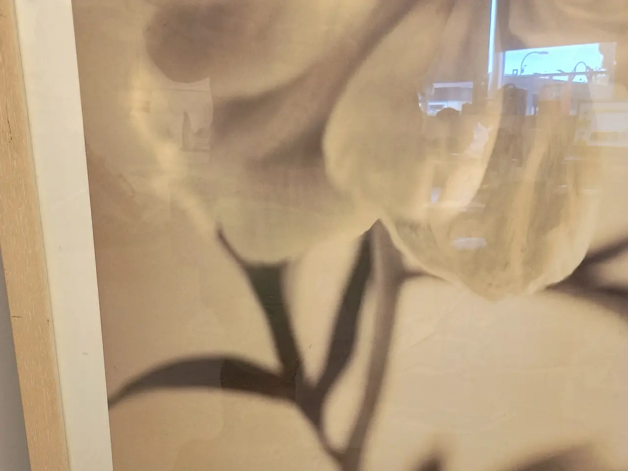 Billede 4 - Blomster plakat, indrammet.