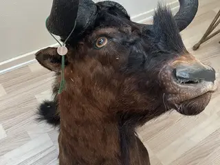 Udstoppet gnu
