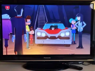 42" Panasonic TV