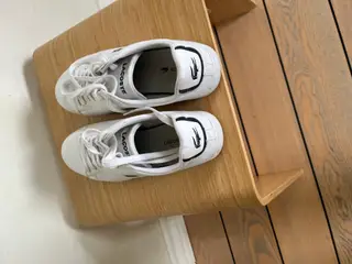 Flotte Lacoste sneackers