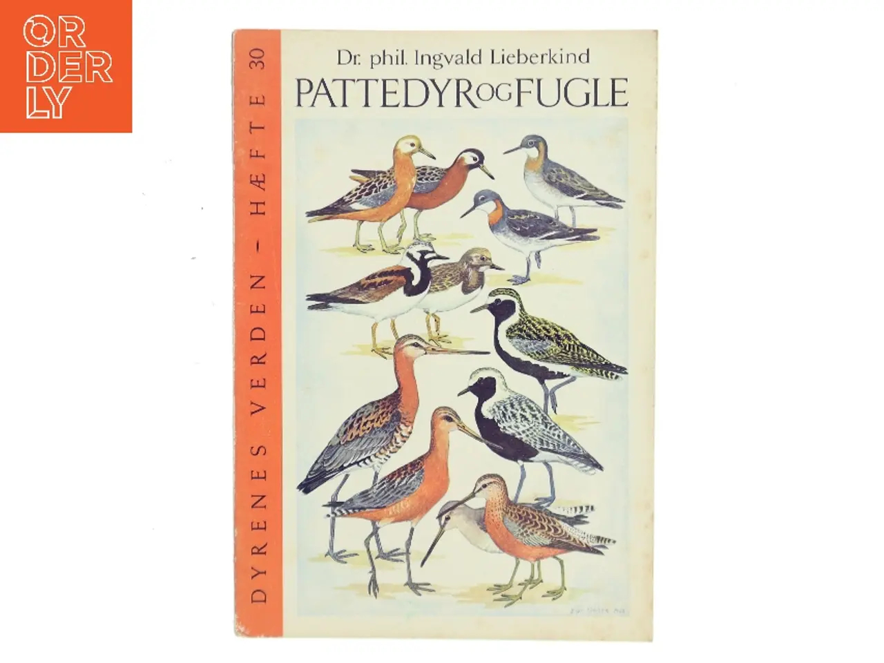 Billede 1 - Pattedyr og fugle af Ingvald Lieberkind (Bog)