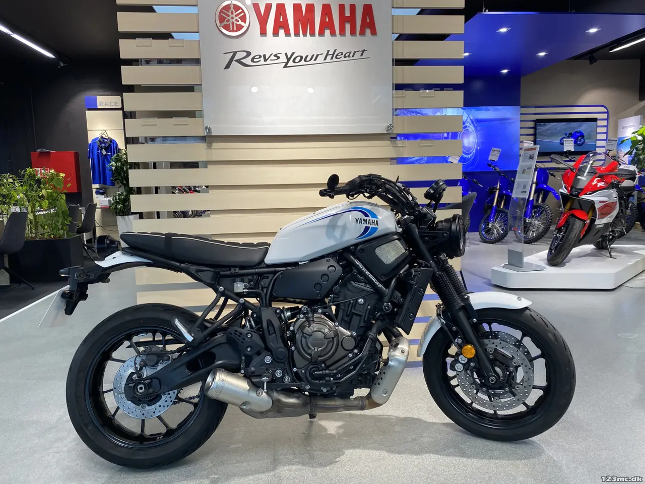 Billede 1 - Yamaha XSR 700