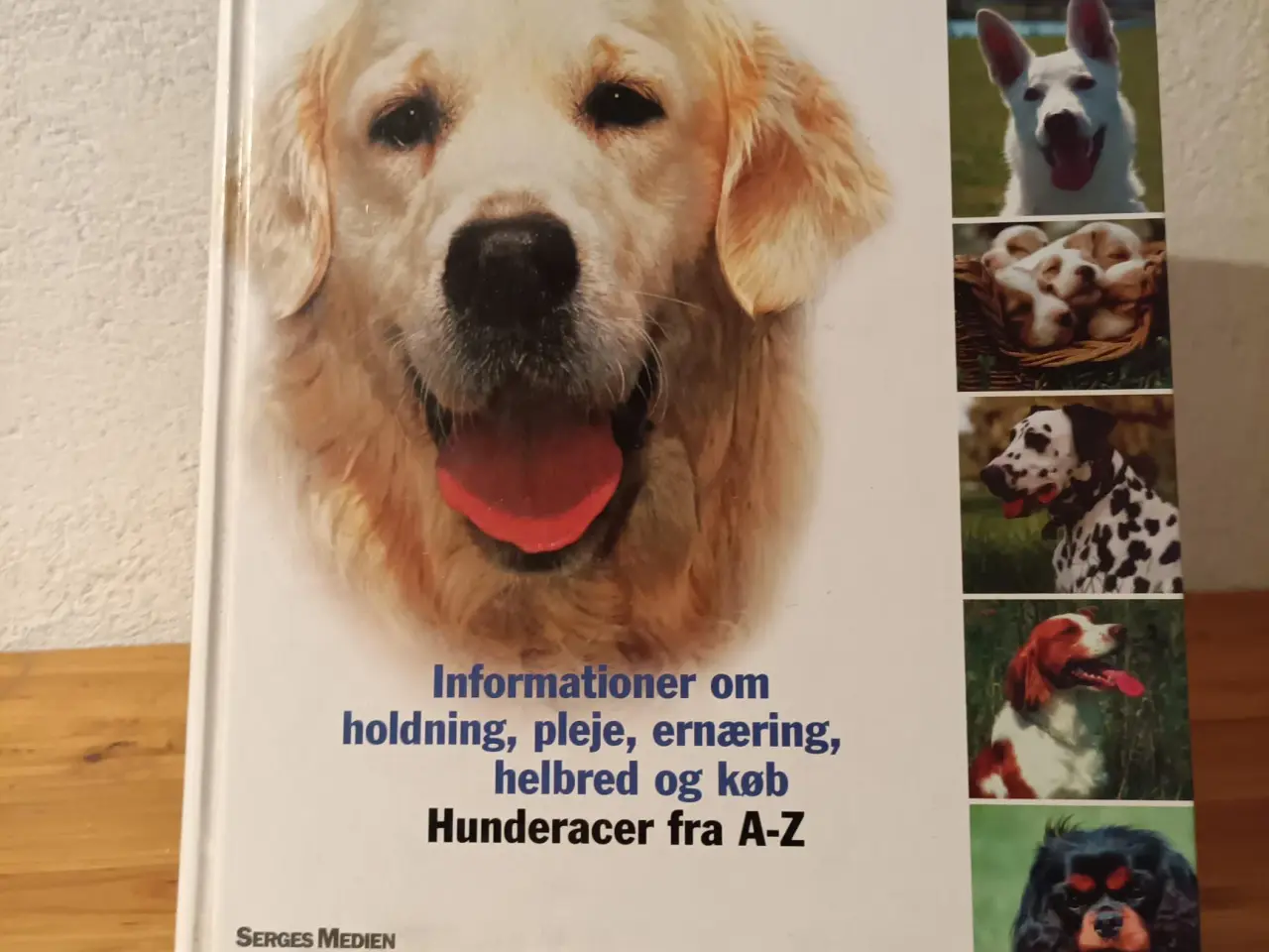 Billede 1 - Hunde - Trofaste følgesvende