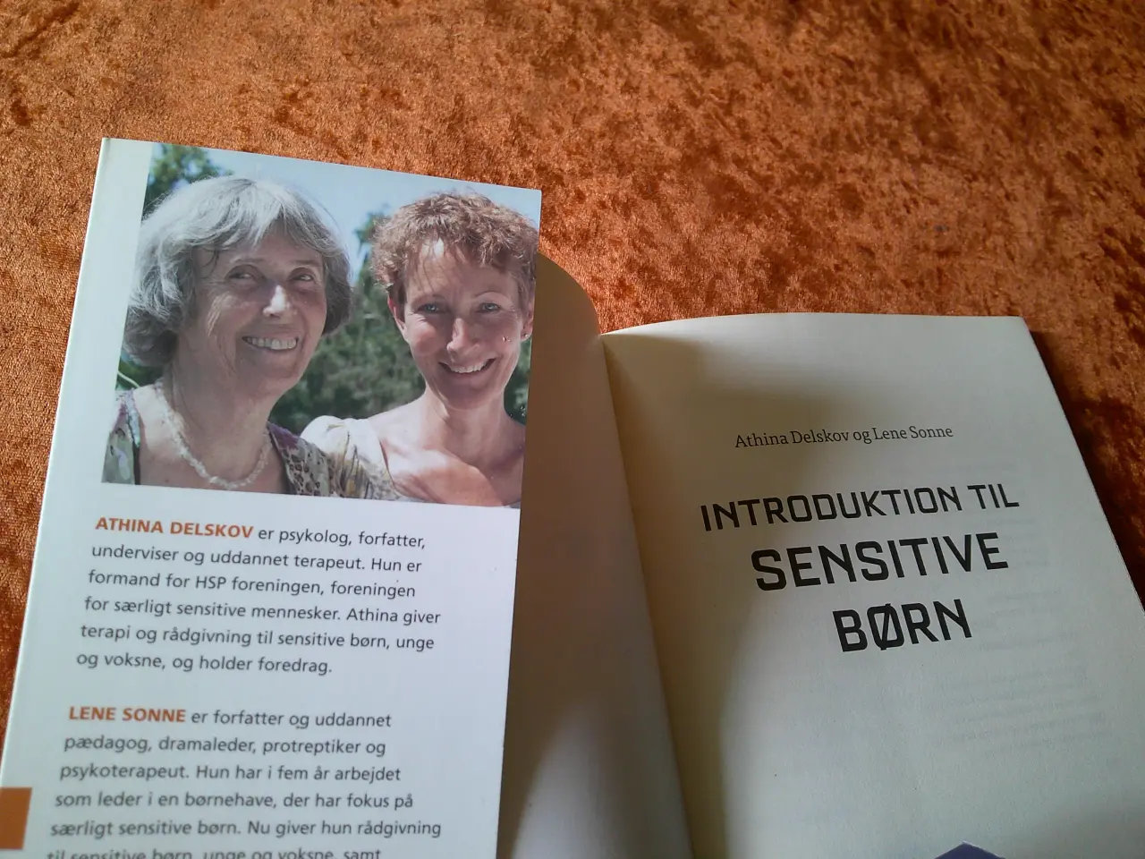 Billede 2 - Introduktion til sensitive børn, Athina Delskov