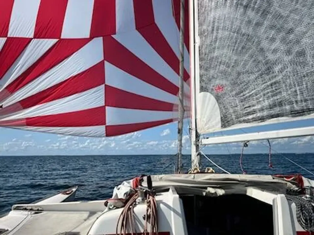Billede 4 - Dragonfly Trimaran DF 800-177