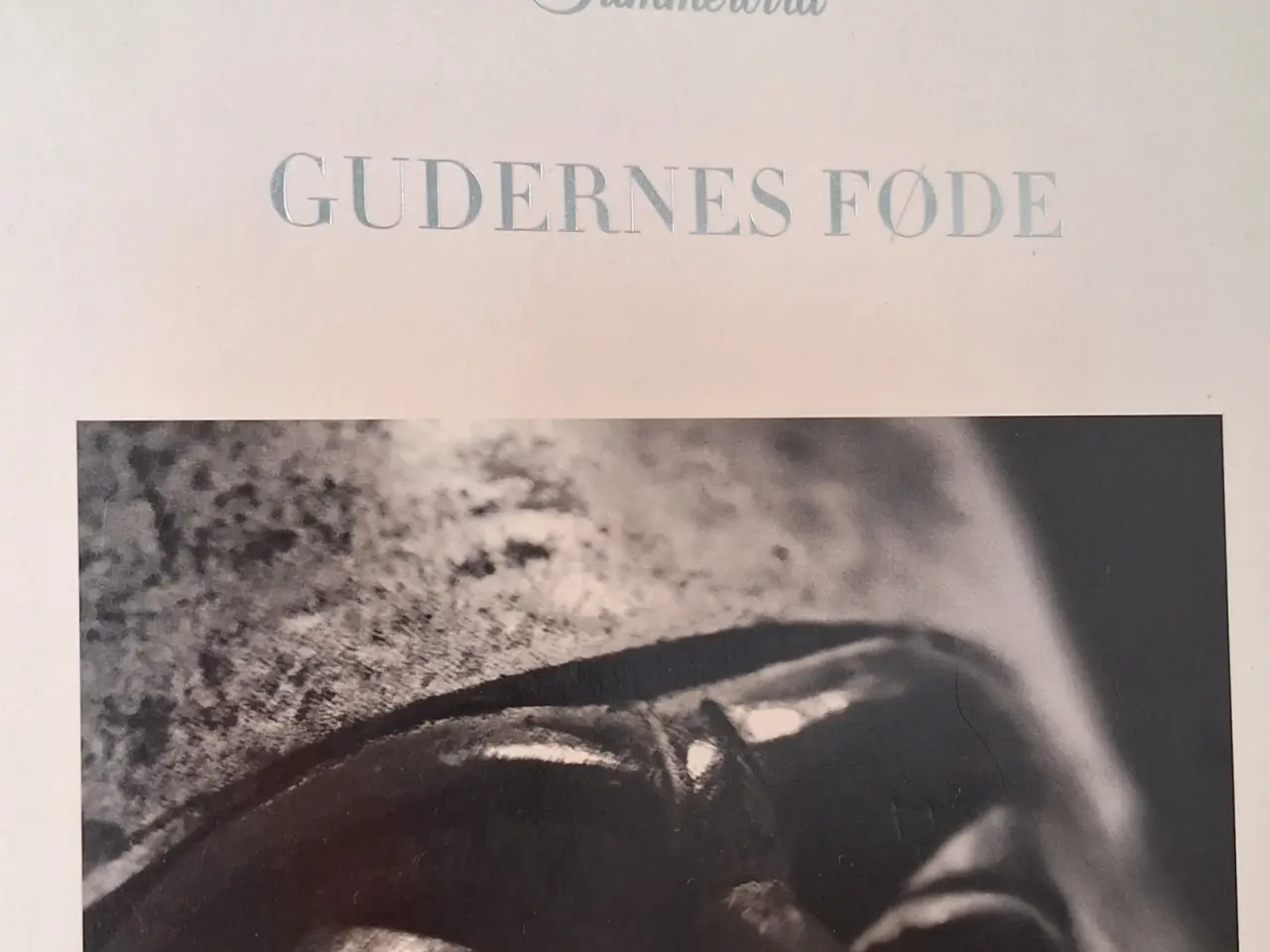 Billede 4 - Coffee table book Summerbird.
