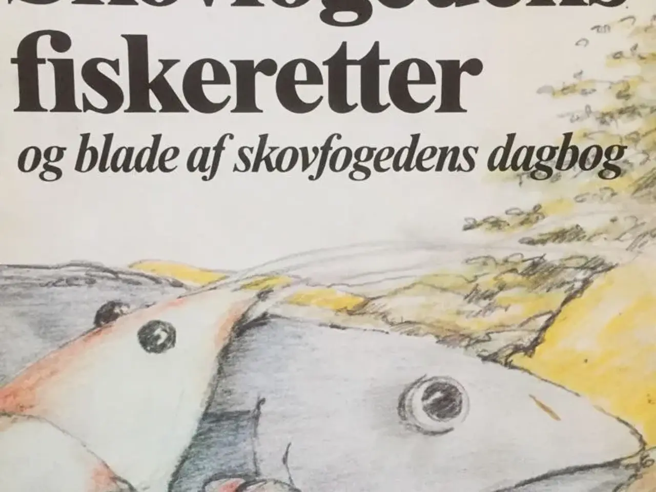 Billede 1 - Skovfogedens FISKERETTER
