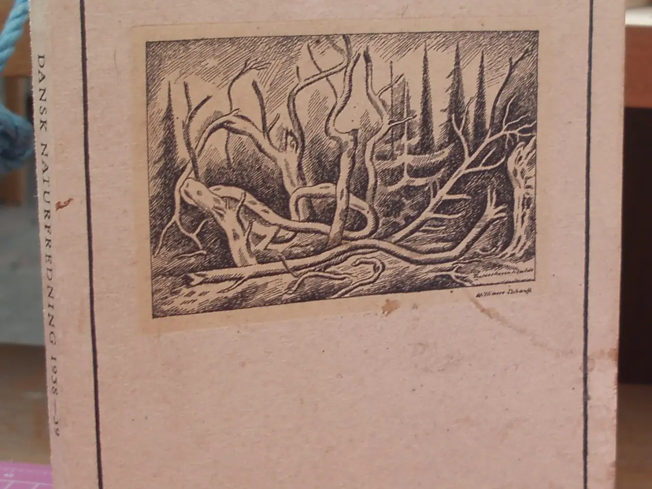 Billede 1 - Dansk Naturfredning Årsskrift 1938-1939