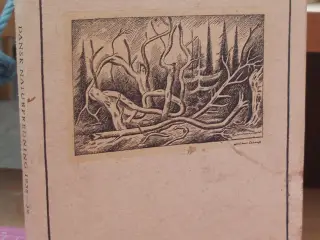 Dansk Naturfredning Årsskrift 1938-1939