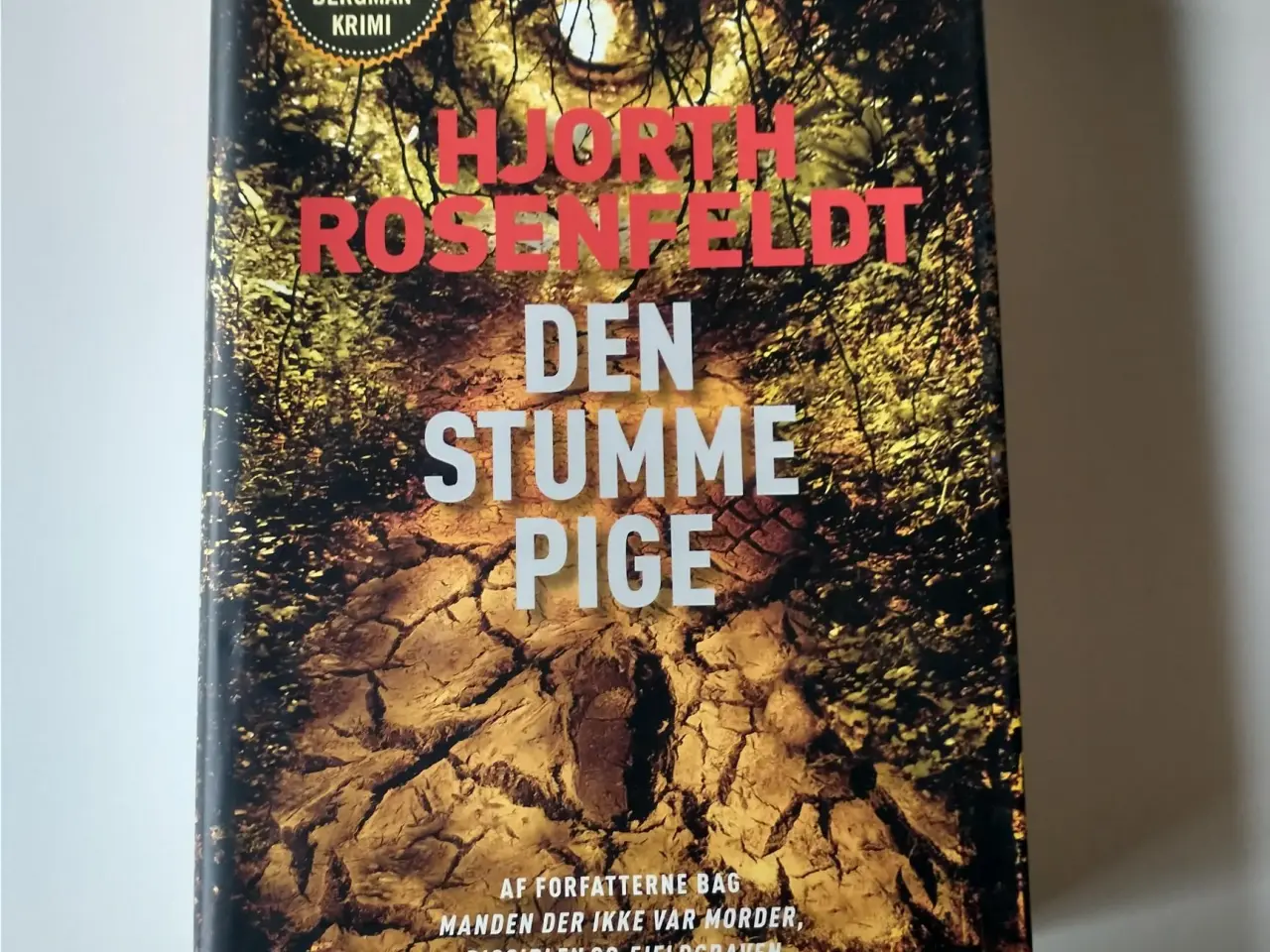 Billede 1 - Den stumme pige. Af Hjorth Rosenfeldt