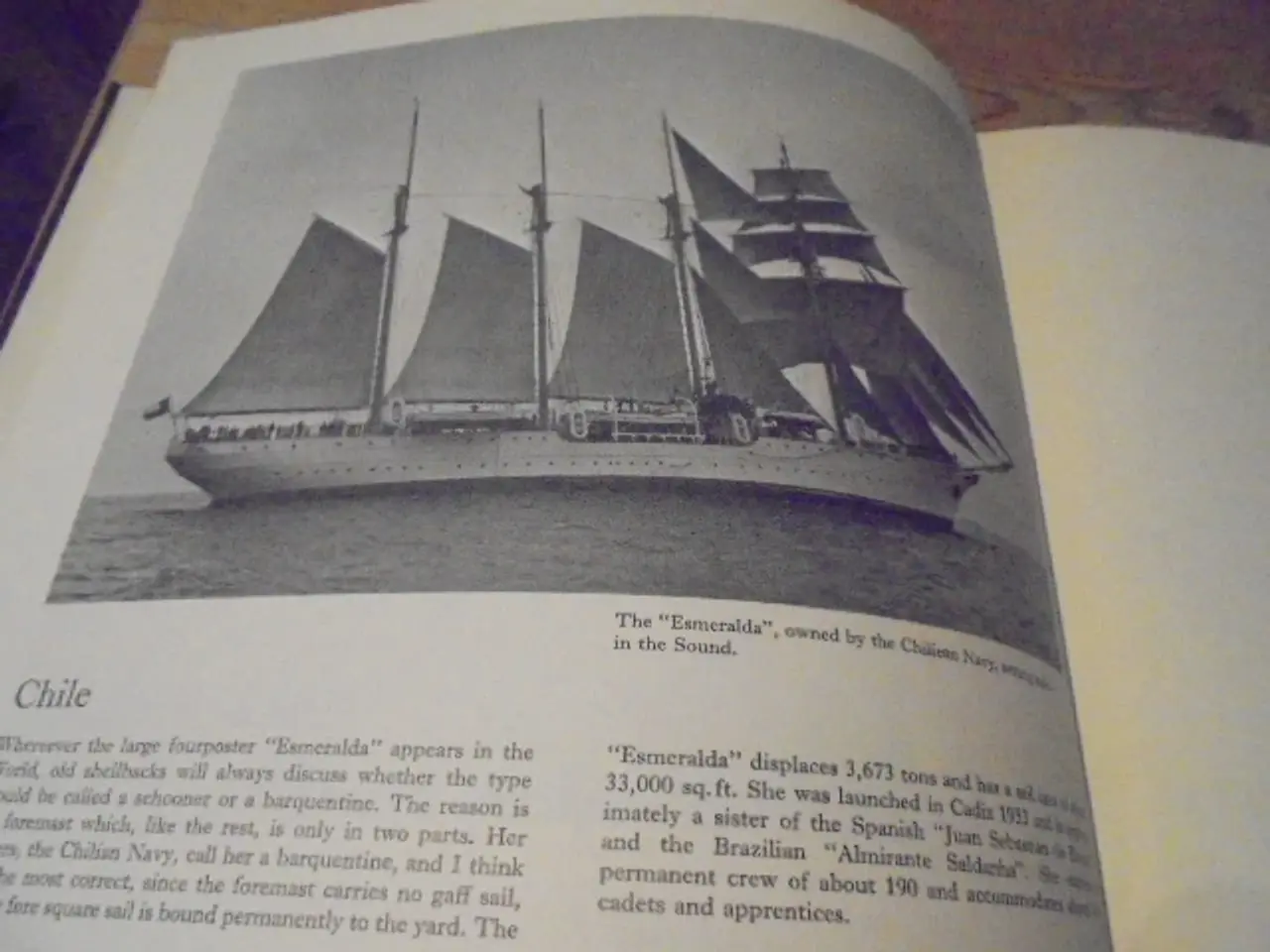 Billede 4 - Training Wessels under Sail sejlførende skoleskibe
