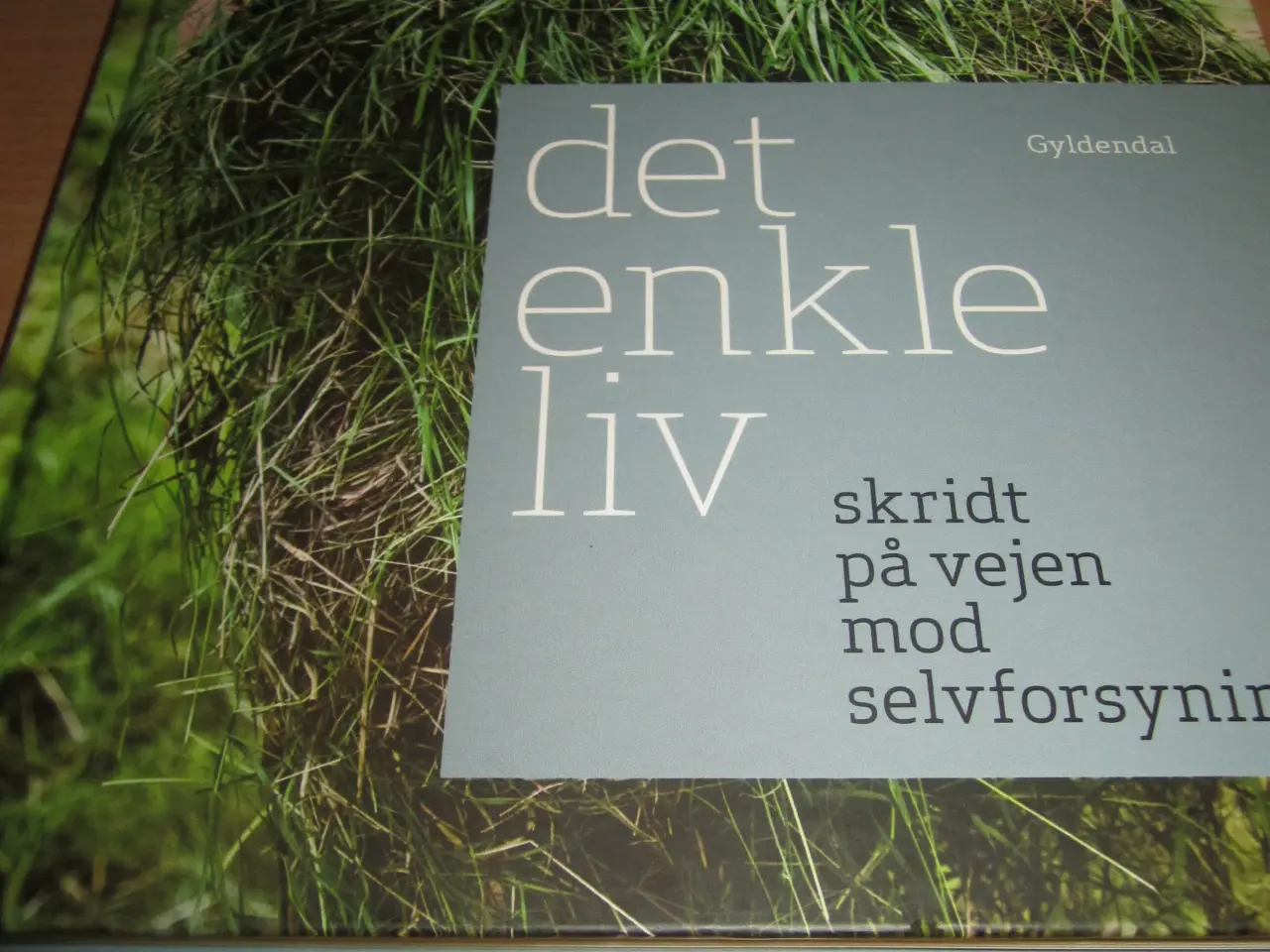 Billede 2 - BYD. Frank Erichsen. DET ENKLE LIV.