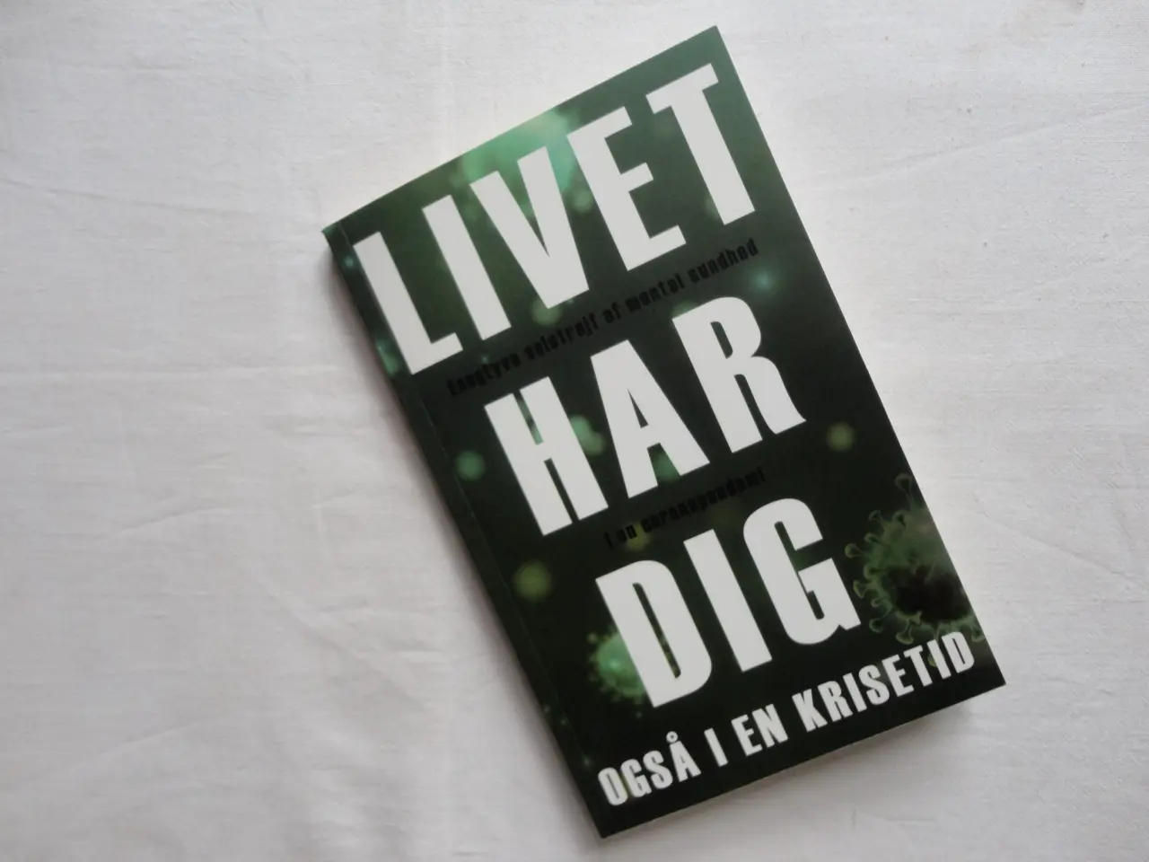 Billede 1 - Livet har dig - også i en krisetid :