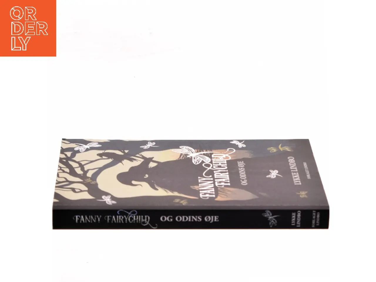 Billede 2 - Fanny Fairychild og Odins øje af Lykke Lindbo (f. 1969) (Bog)