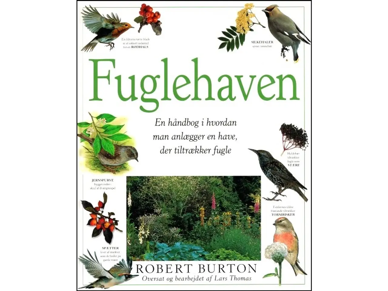 Billede 8 - Fugle - 16 Bøger fra 40 kr.