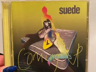 Suede - coming up