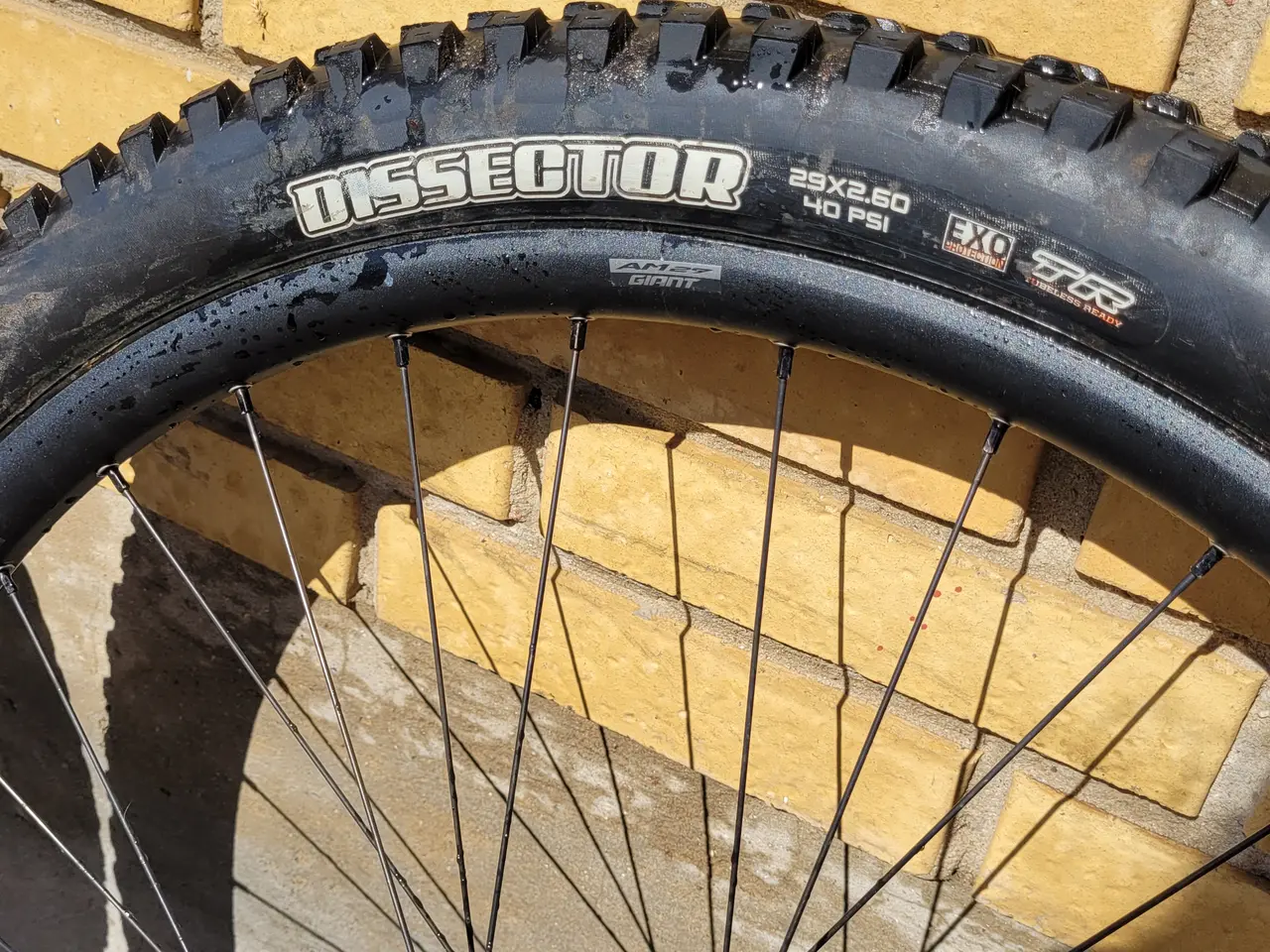 Billede 7 - MTB AM 29" GIANT fælge med gode dæk