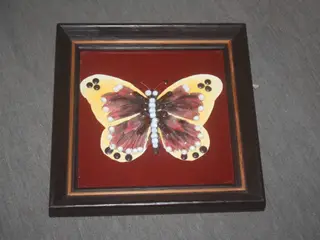 Billede med sommerfugl 19 cm x 19 cm