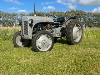 Ferguson 26