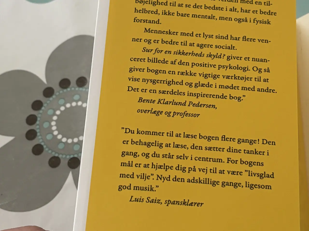 Billede 4 - Mikael Kamber – Sur for en sikkerheds skyld? bog