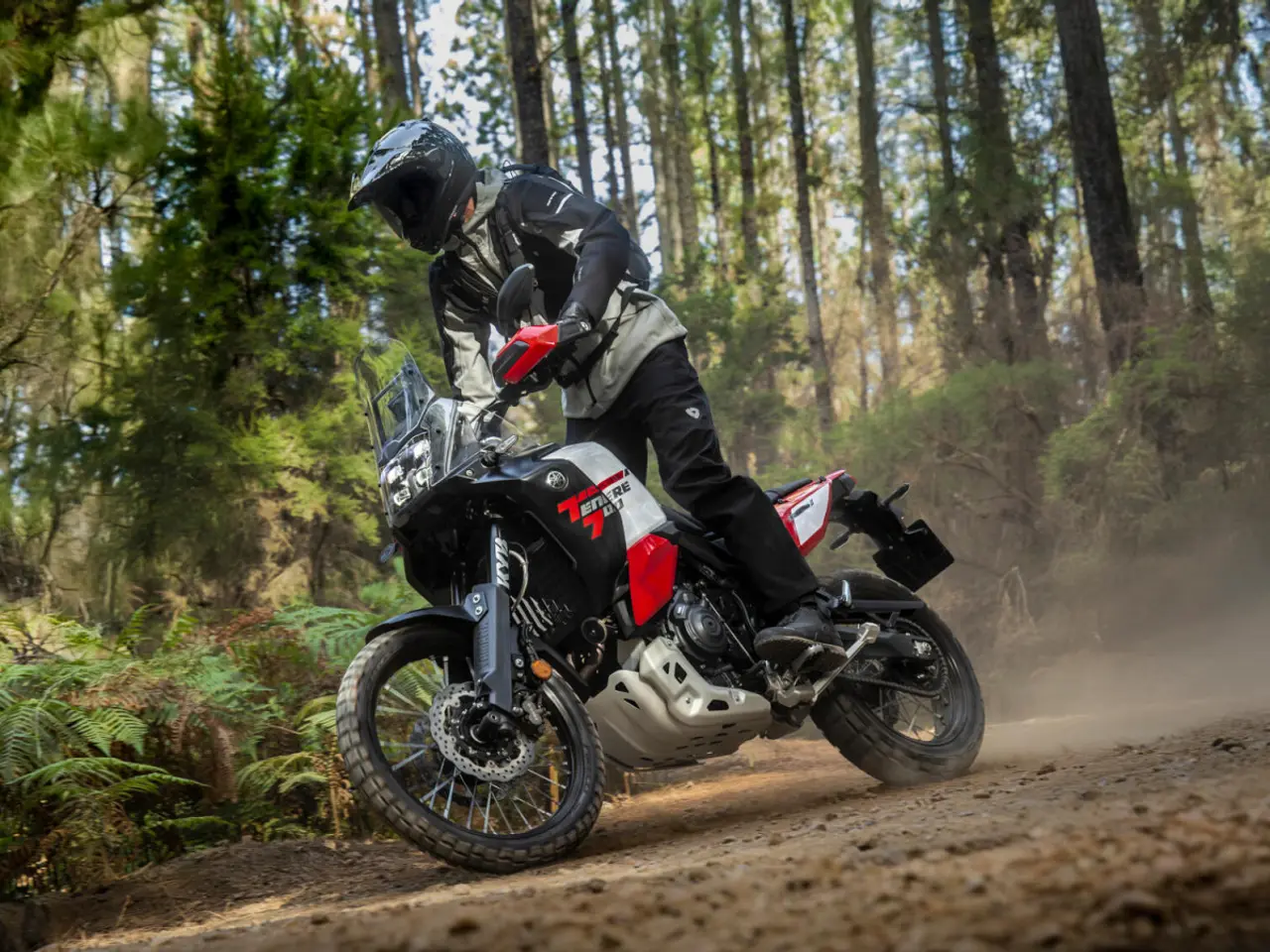 Billede 15 - Yamaha Ténéré 700 World Raid