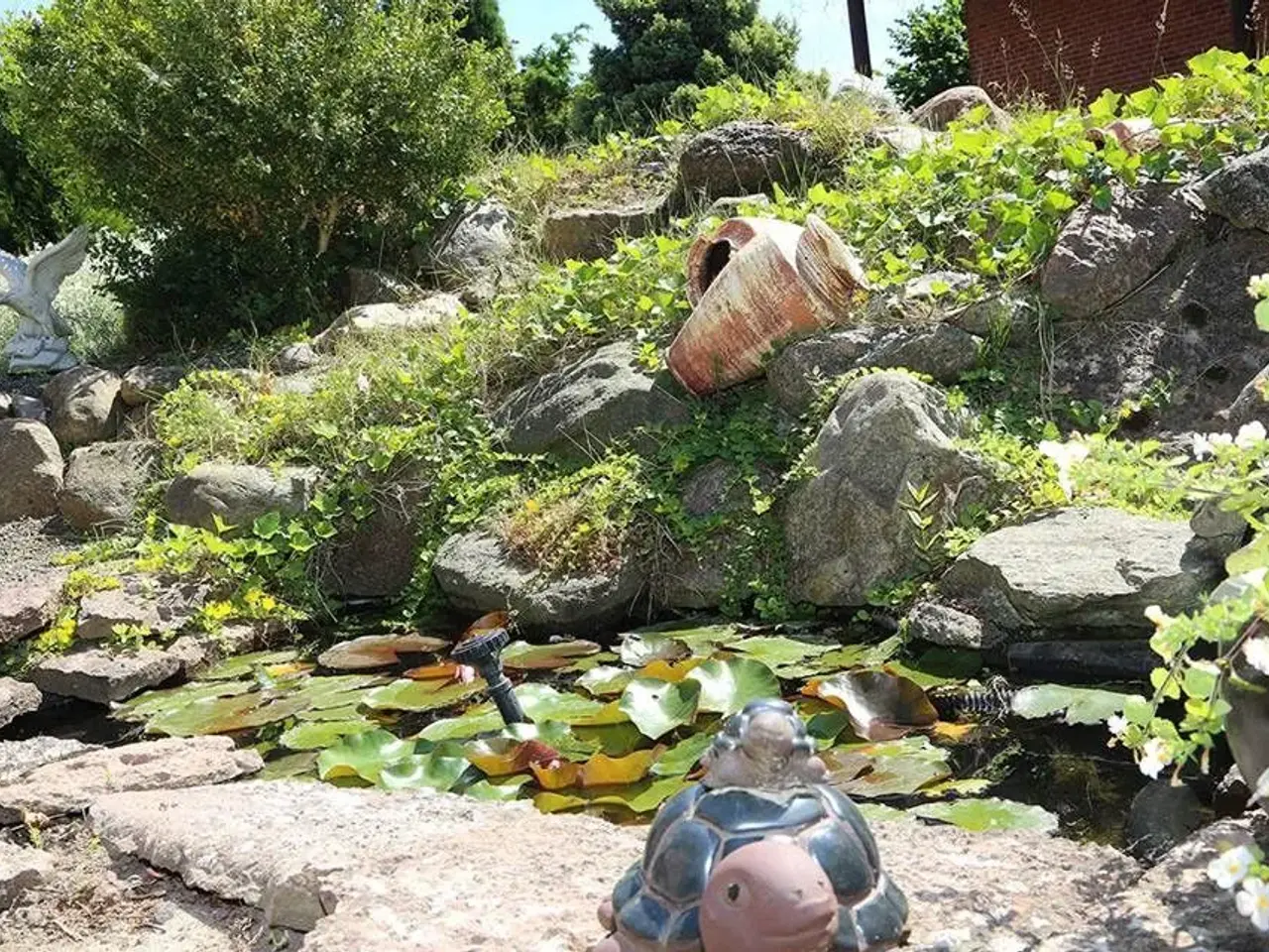 Billede 1 - Sumpskildpadder