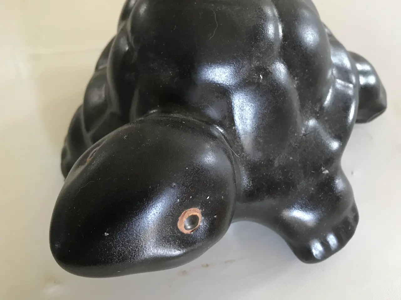 Billede 5 - Frø og skildpadde