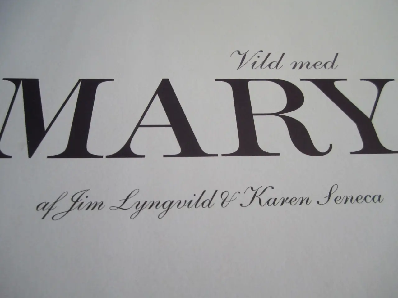 Billede 3 - Jim Lyngvild. VILD MED MARY.
