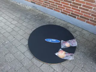 Balance bræt til hunde