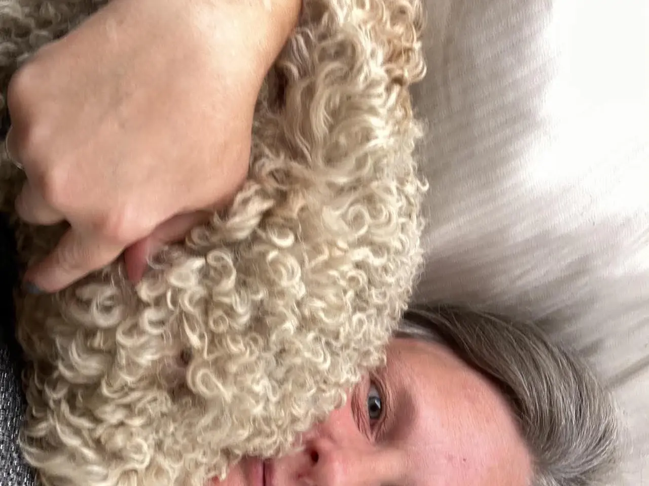 Billede 4 - Lagotto Romaonolo