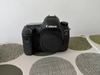 Canon 5D Mark IV + Canon zoom lens