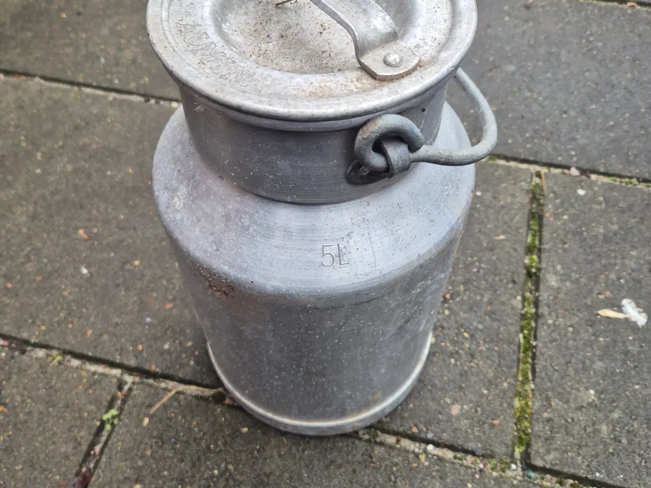 Billede 4 - 5 L. mælkejunge