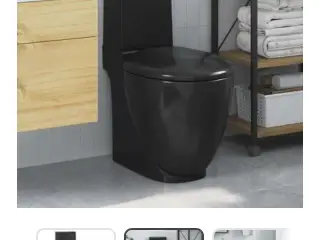 Designer toilet 