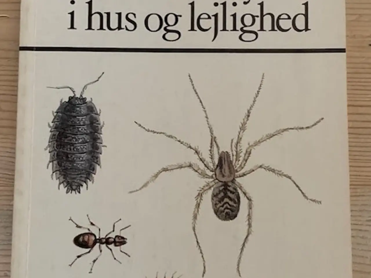 Billede 1 - Generende dyr i hus og lejlighed