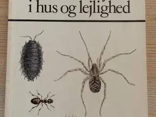 Generende dyr i hus og lejlighed