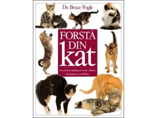 Forstå din Kat